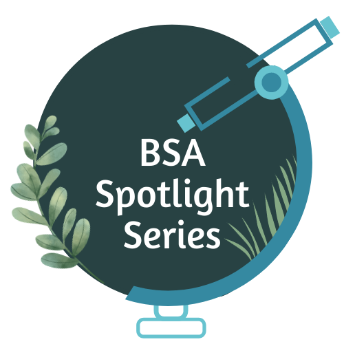 BSA Spotlight Series